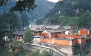 tydao.com Zhenhai