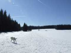 panoramio.com Zhuri