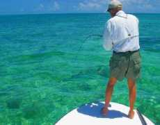 jakejordan.com Ziarnik