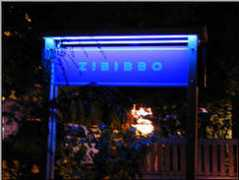 Zibibbo
