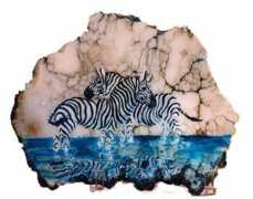 wildliferocks.com Zibras
