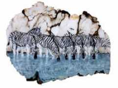 wildliferocks.com Zibras