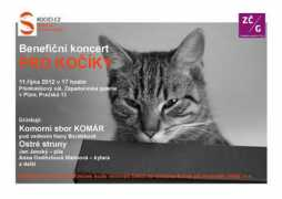 marinette-accordion.com Zichova