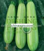dsfbjzmkjzx.chinaagro.com Zichun