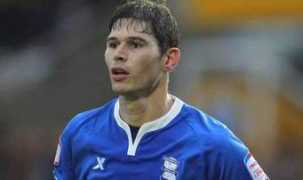 Zigic