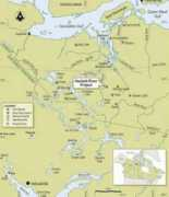 marketoracle.co.uk Zihlmann