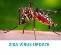 Zika