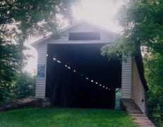 dalejtravis.com Zilafro