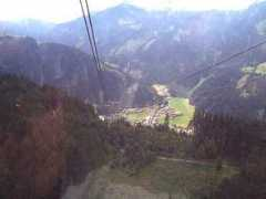 okusgoldens.com Ziller