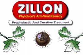 Zillon