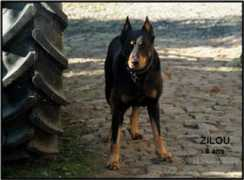 lumieresnoires.be Zilou