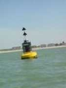multihullcup.be Zinker