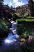 landscapeimagery.com Zirkel
