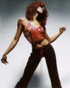 marilyndavid.com Zitelli
