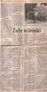 Ziuk