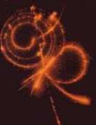 Ziur