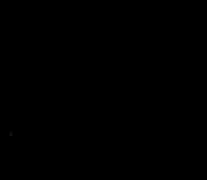 Zizhu