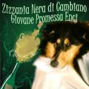 Zizza