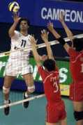 fivb.org Zlatanov