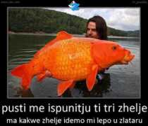 zoki.com Zlataru