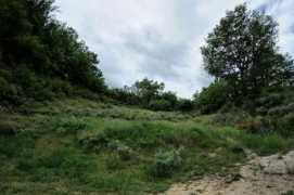 en.balcanica.info Zlatkov