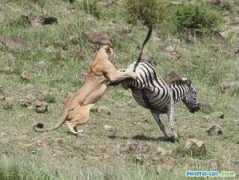 photo-lol.com Znayut