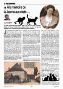 moissey.com Zocchetti
