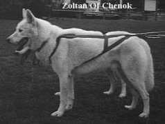 m.paranthoen.free.fr Zodiack