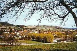 Zohren