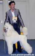 planetpoodle.de Zolange