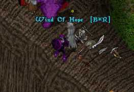 uo.stratics.com Zorander