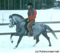pulleromaki.fi Zorban