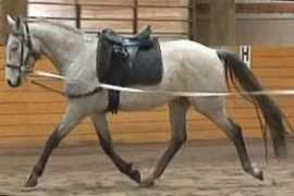 pilotoranch.com Zorion