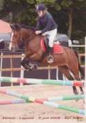 Zouille
