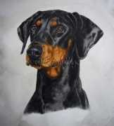 dailypainters.com Zoutsos