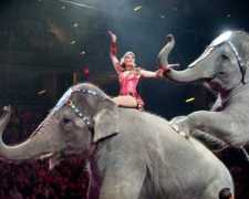 blog.timesunion.com Zsilak