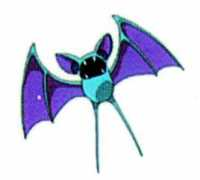 happychild.org.uk Zubat
