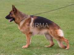 fotourma.com Zuberg