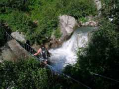 Zucal