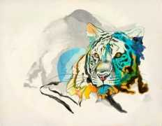 abduzeedo.com Zucco