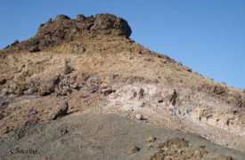 Zuha