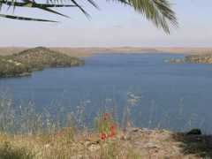 Zujar