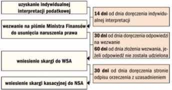 biznes.interia.pl Zujewska