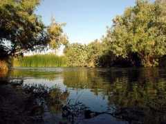 Zukim