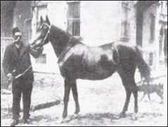 allbreedpedigree.com Zulima