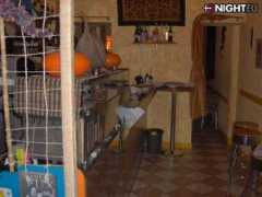 milano.tonight.eu Zumare