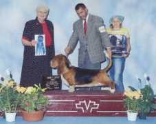stpetersburgdogfanciers.com Zuniaga
