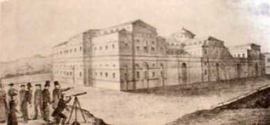 Zunini