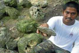 southeastasianarchaeology.com Zuraina