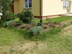 pilawa.com.pl Zurawek